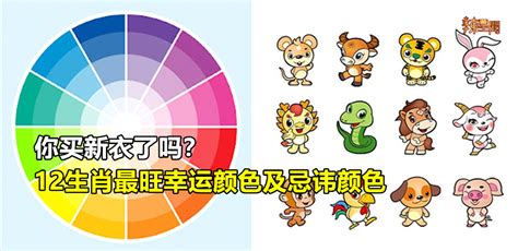 生肖房間顏色|【生肖房間顏色】生肖房間顏色：打造幸運又聚財的12 生肖本命。